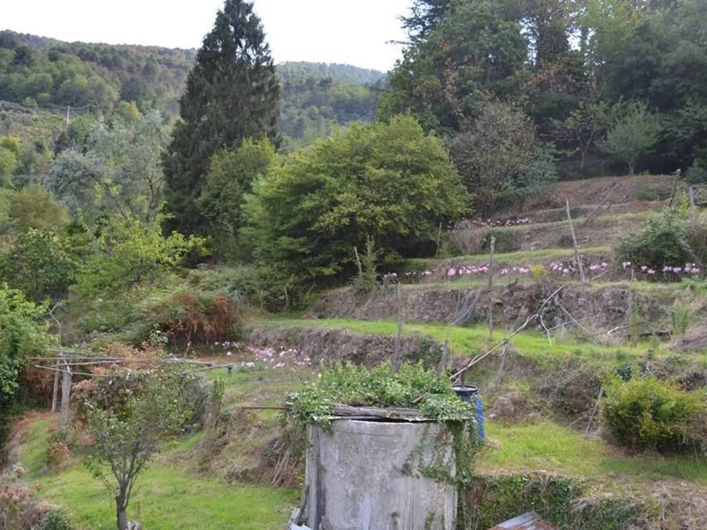 Rustico / casale a Ceriana in Strada Mainardo - Foto 5