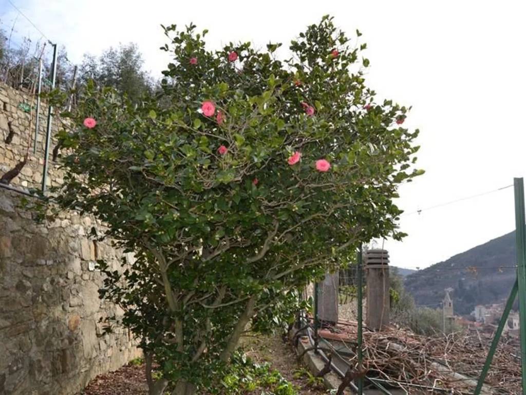 Villa a Ceriana in Via Mora S.N.C. - Foto 4