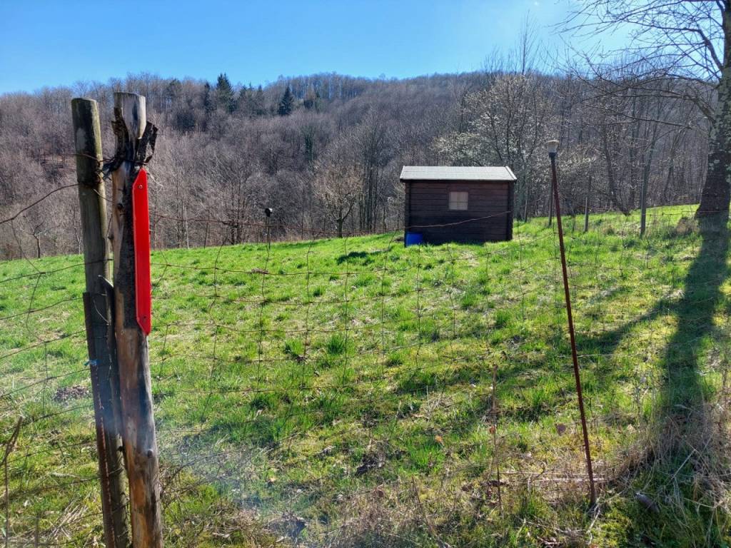 Casa indipendente a Valli del pasubio - Foto 2