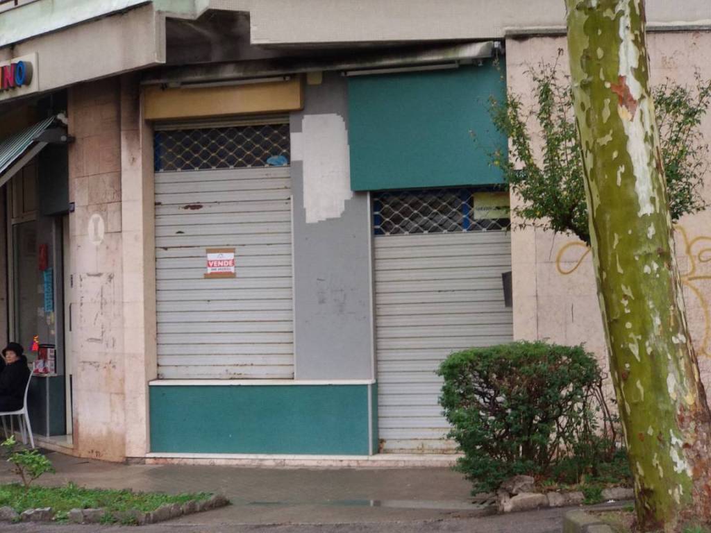 Immobile a Trieste in Viale dei Campi Elisi, 38 - Foto 2