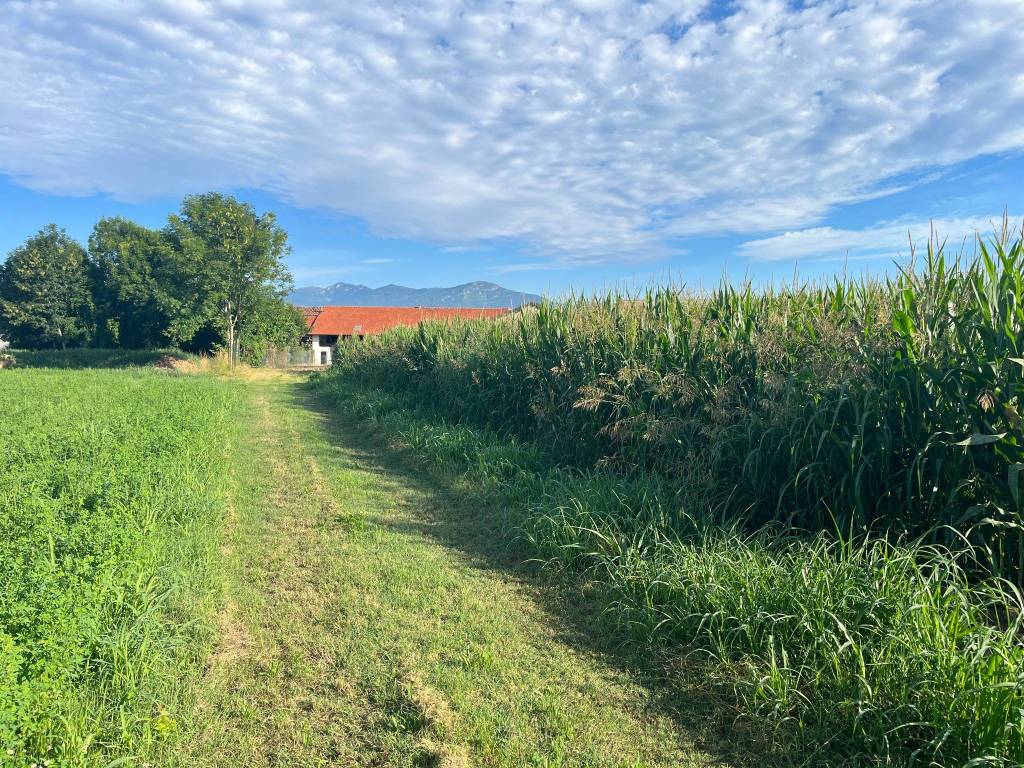 Rustico / casale a Caraglio in Via Centallo - Foto 5