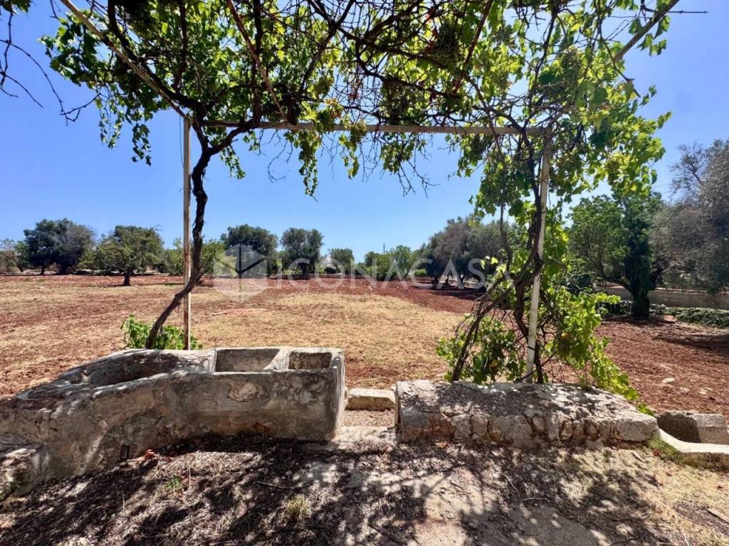 Villa a Ostuni in Contrada Santa Caterina - Foto 5