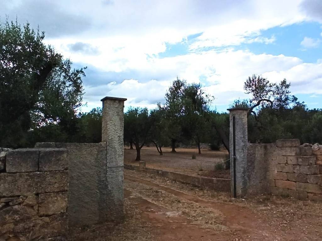 Terreno a Francavilla fontana in Contrada Palmo - Foto 2