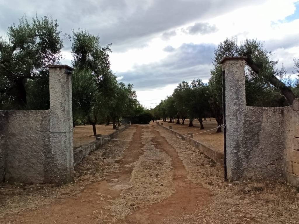 Terreno a Francavilla fontana in Contrada Palmo - Foto 3