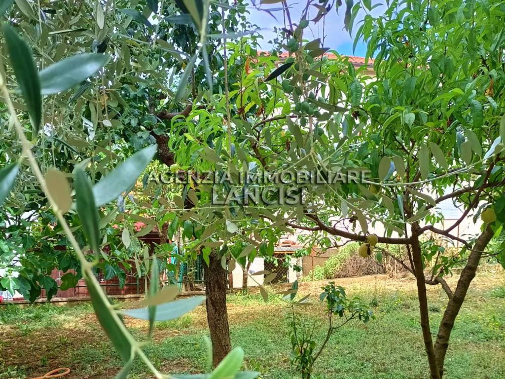 Appartamento a Sansepolcro - Foto 4