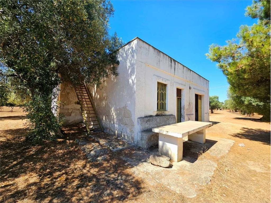 Rustico / casale a Ostuni - Foto 2