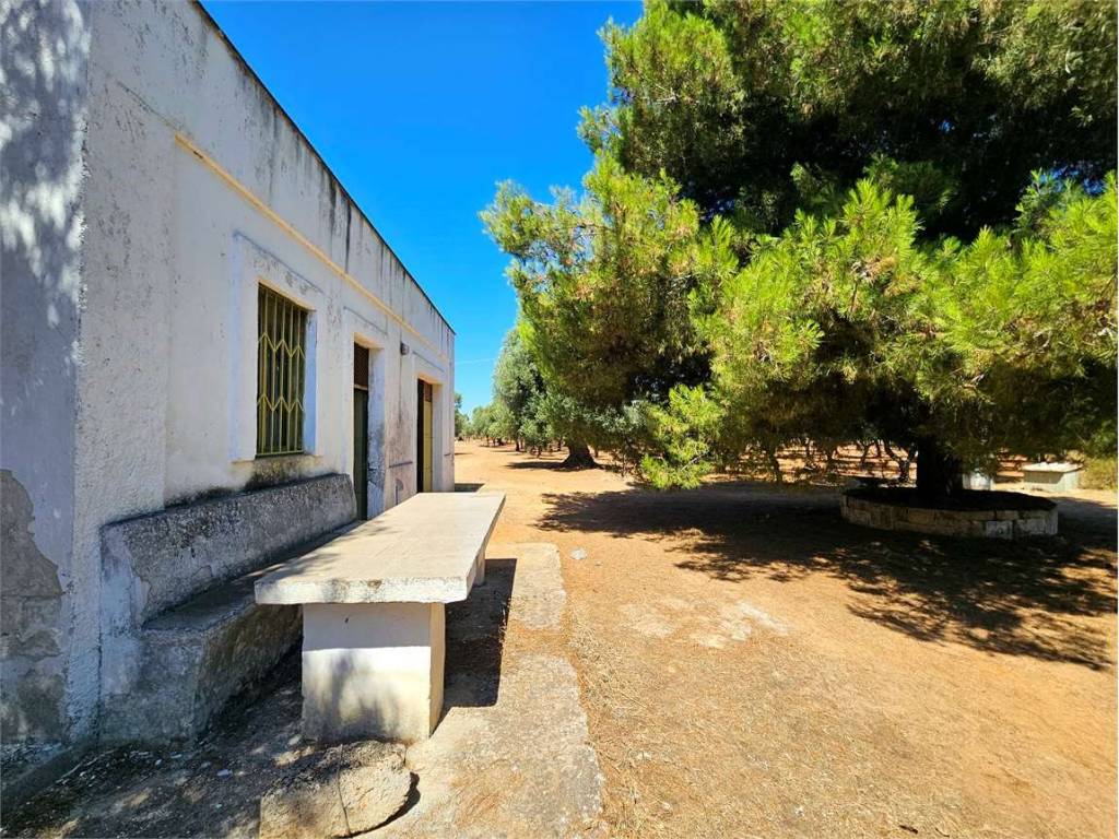 Rustico / casale a Ostuni - Foto 3