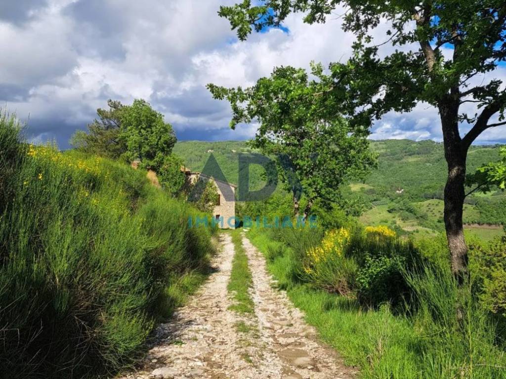 Rustico / casale a Assisi in paradiso, 32 - Foto 5