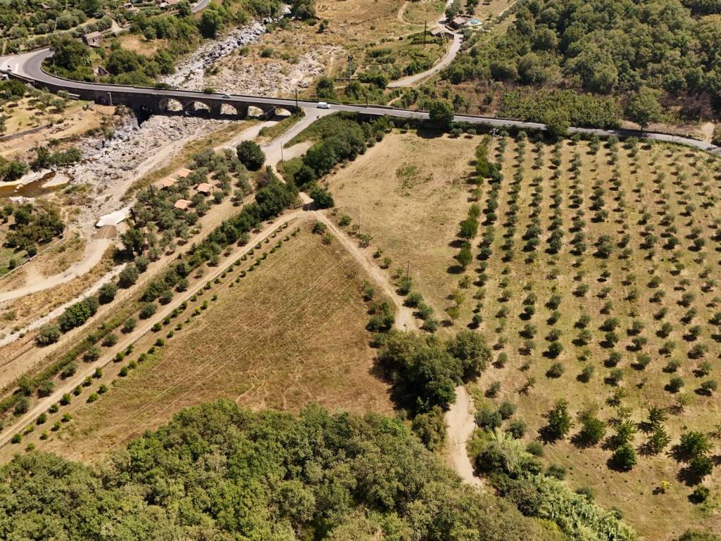 Terreno a Castiglione di sicilia in Contrada Catena Cerro - Foto 4