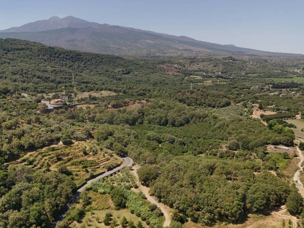Terreno a Castiglione di sicilia in Contrada Catena Cerro - Foto 5
