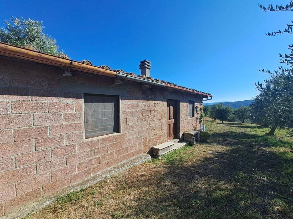 Terreno a Bucine - Foto 3
