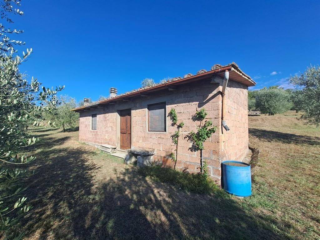 Terreno a Bucine - Foto 4