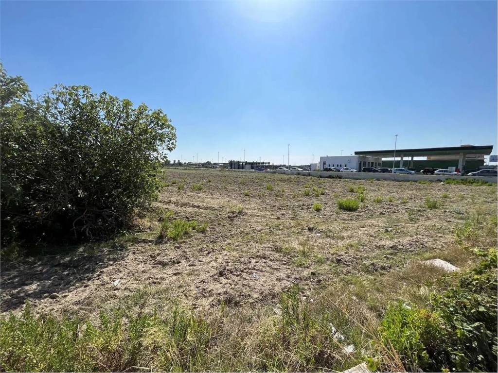 Terreno a Francavilla fontana in Contrada Regina S.N.C. - Foto 3