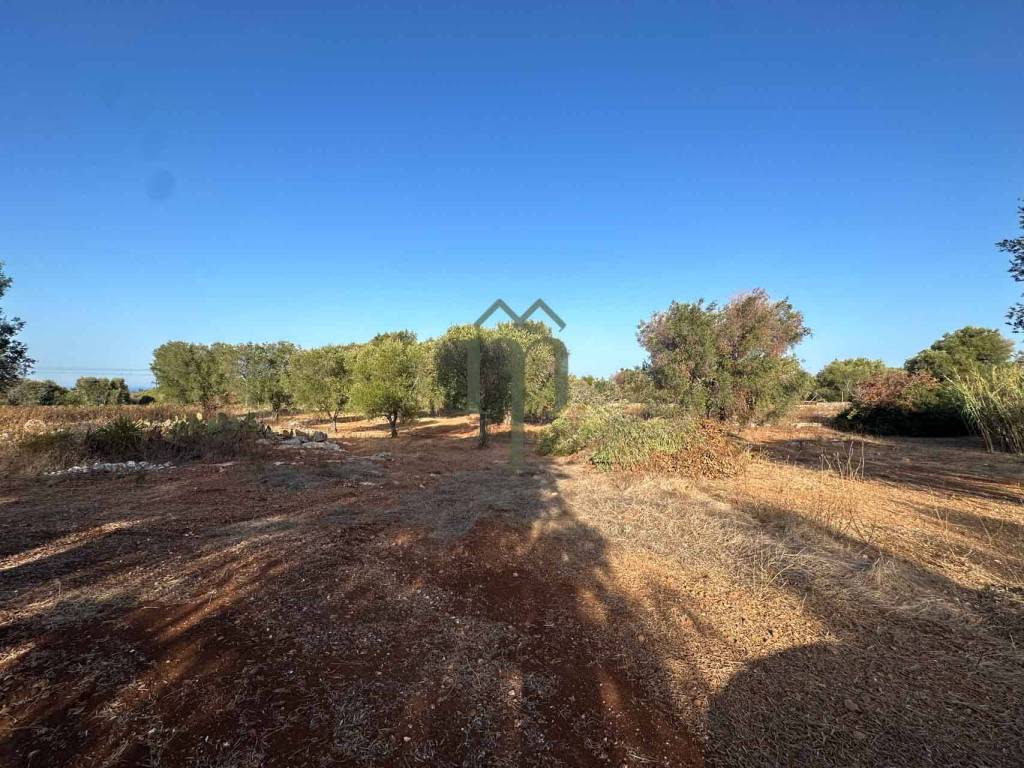 Terreno a Carovigno in Contrada Sierri - Foto 4