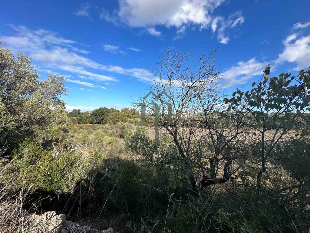Terreno a Ostuni in Contrada San Benedetto - Foto 2