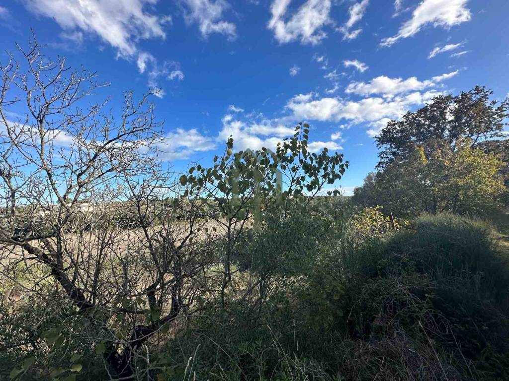 Terreno a Ostuni in Contrada San Benedetto - Foto 3