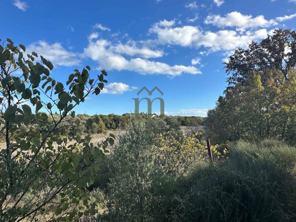 Terreno a Ostuni in Contrada San Benedetto - Foto 4