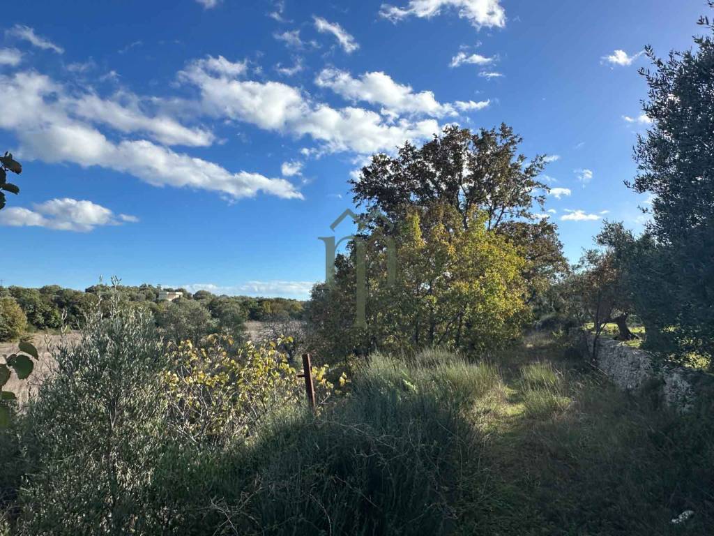 Terreno a Ostuni in Contrada San Benedetto - Foto 5