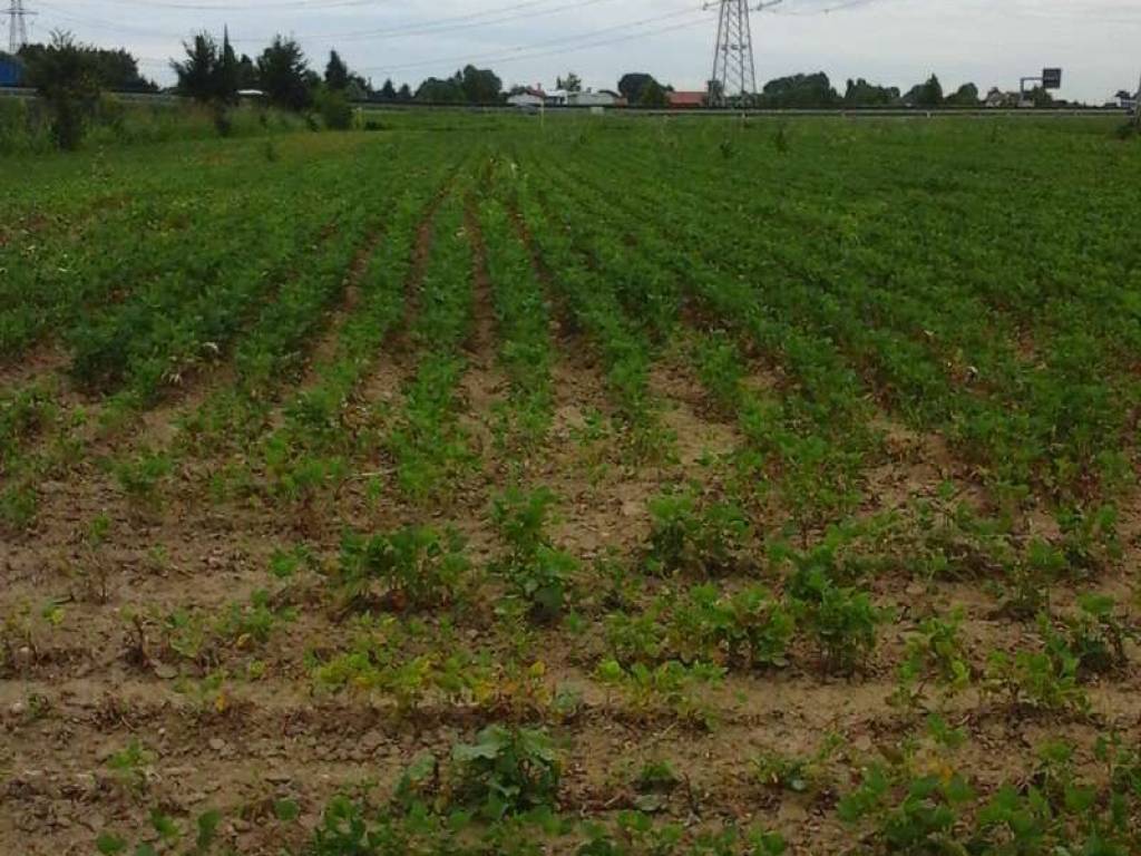 Terreno a Mira in via miranese - Foto 2