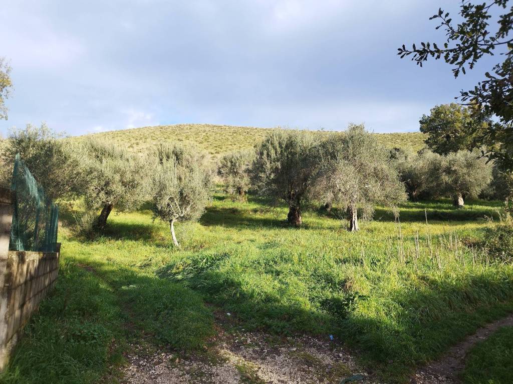 Terreno a Pastorano in Via Aldo Moro - Foto 3