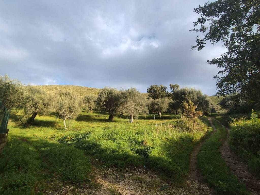 Terreno a Pastorano in Via Aldo Moro - Foto 4