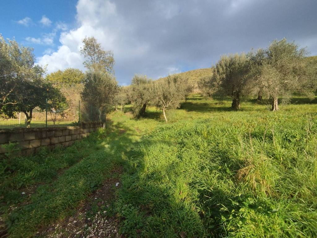 Terreno a Pastorano in Via Aldo Moro - Foto 5