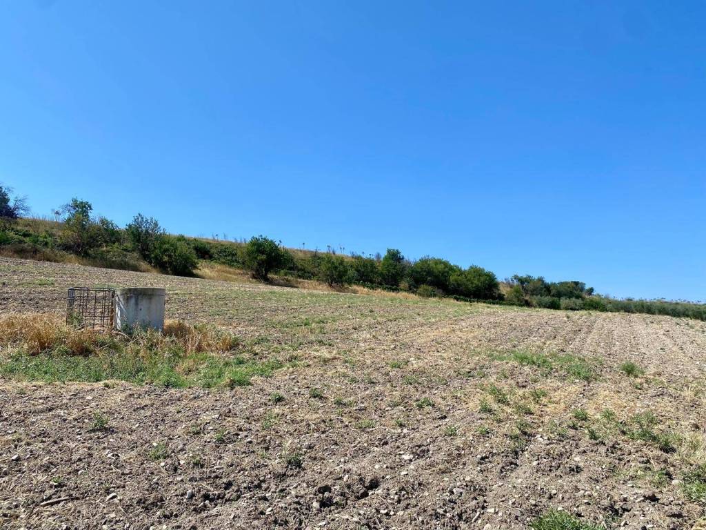 Terreno a Lucera in LOCALITA' SAN GIUSTO - Foto 5
