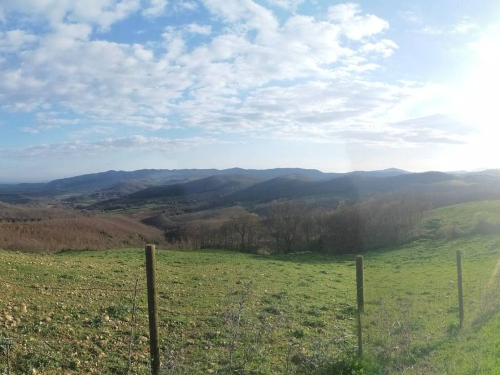 Terreno a Manciano in Strada Regionale Maremmana - Foto 2