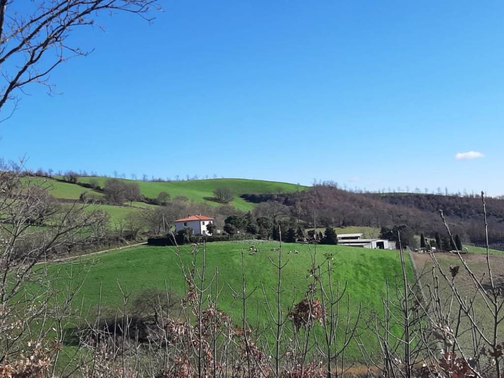Terreno a Manciano in Strada Regionale Maremmana - Foto 3