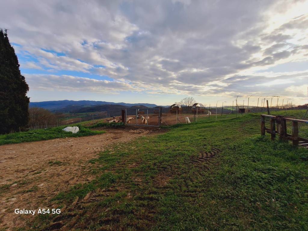 Terreno a Manciano in Strada Regionale Maremmana - Foto 4