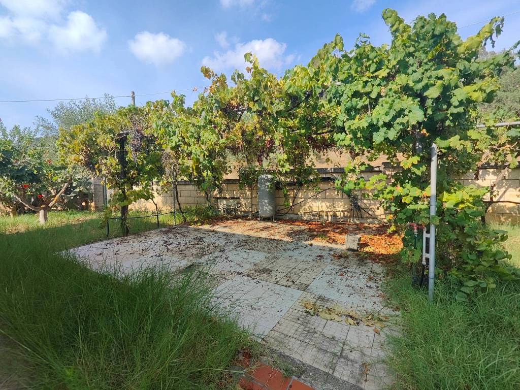 Villa a Ricadi - Foto 2