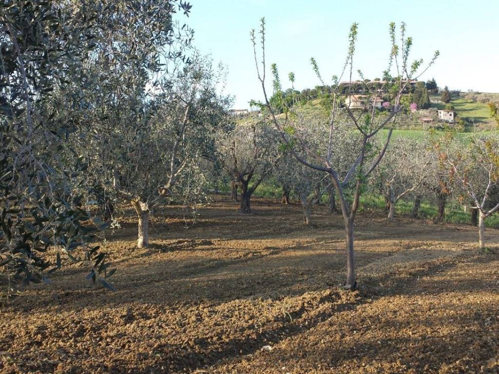 Terreno a Monteprandone in Contrada Bora Ragnola - Foto 2