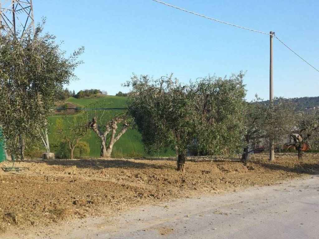 Terreno a Monteprandone in Contrada Bora Ragnola - Foto 3