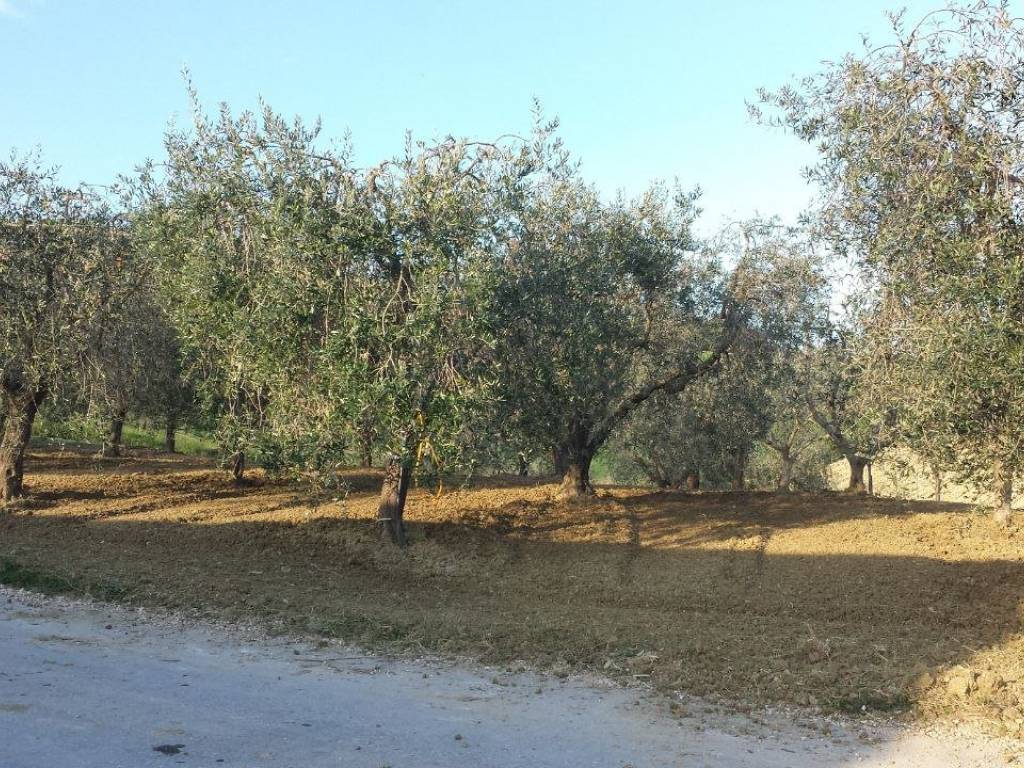 Terreno a Monteprandone in Contrada Bora Ragnola - Foto 4
