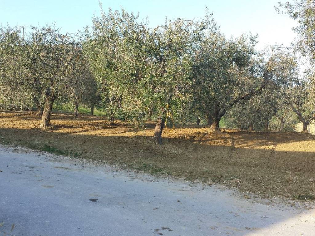 Terreno a Monteprandone in Contrada Bora Ragnola - Foto 5