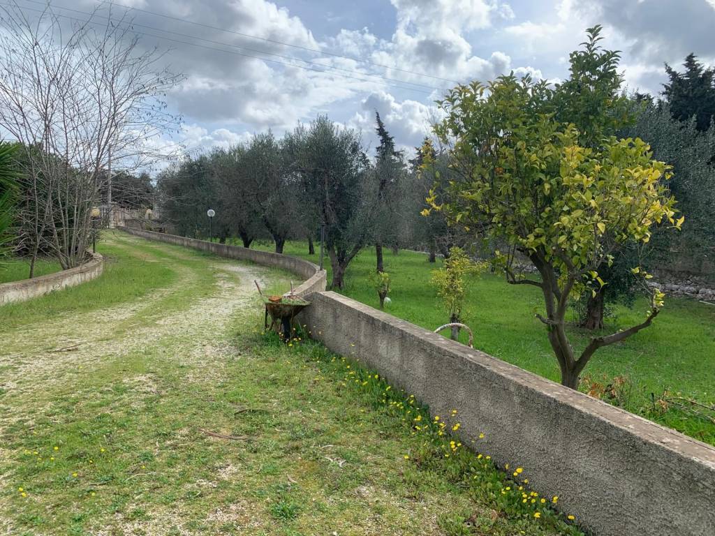 Villa a Ostuni in Contrada Polinisso - Foto 5