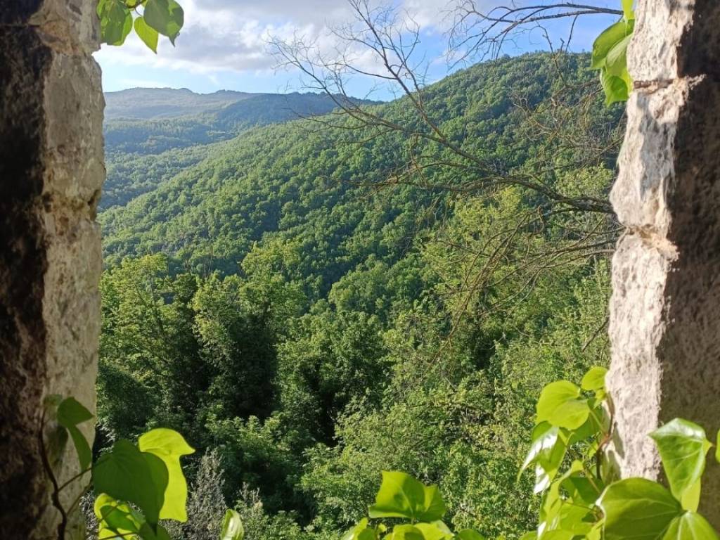 Casa indipendente a Carpinone in via roma 63 - Foto 2