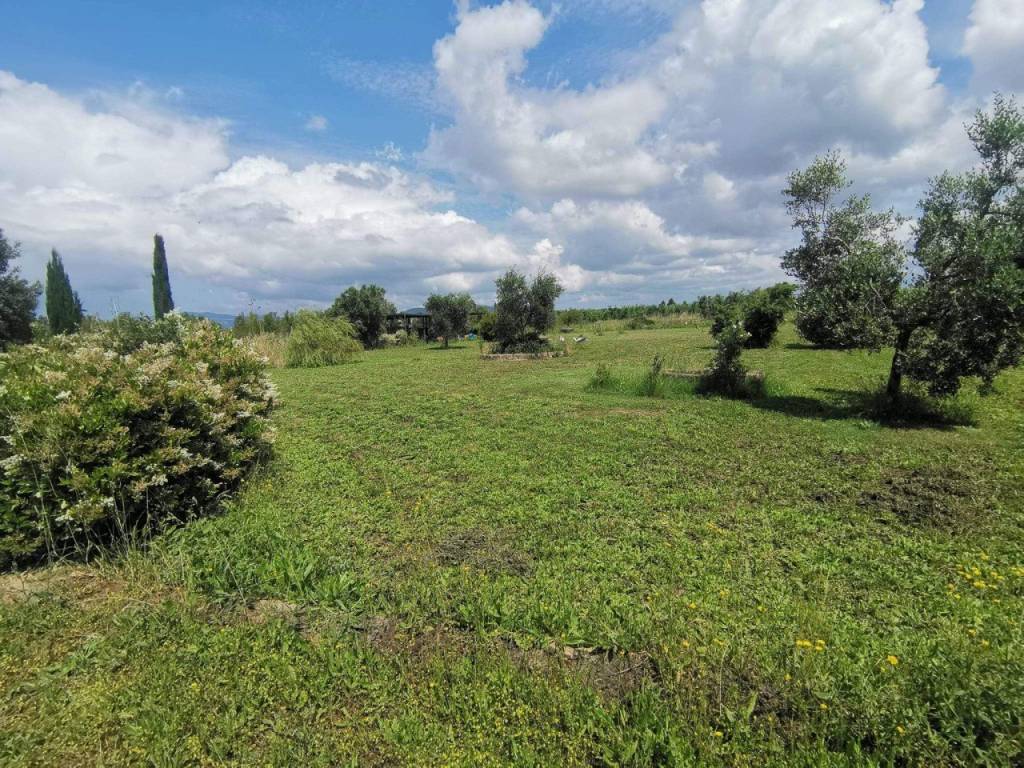 Terreno a Grosseto in Via del poggiale - Foto 5