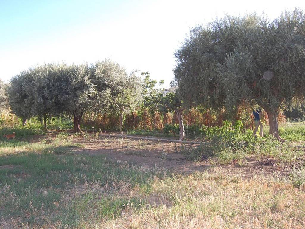 Terreno a Roseto degli abruzzi in Via Santa Petronilla - Foto 2