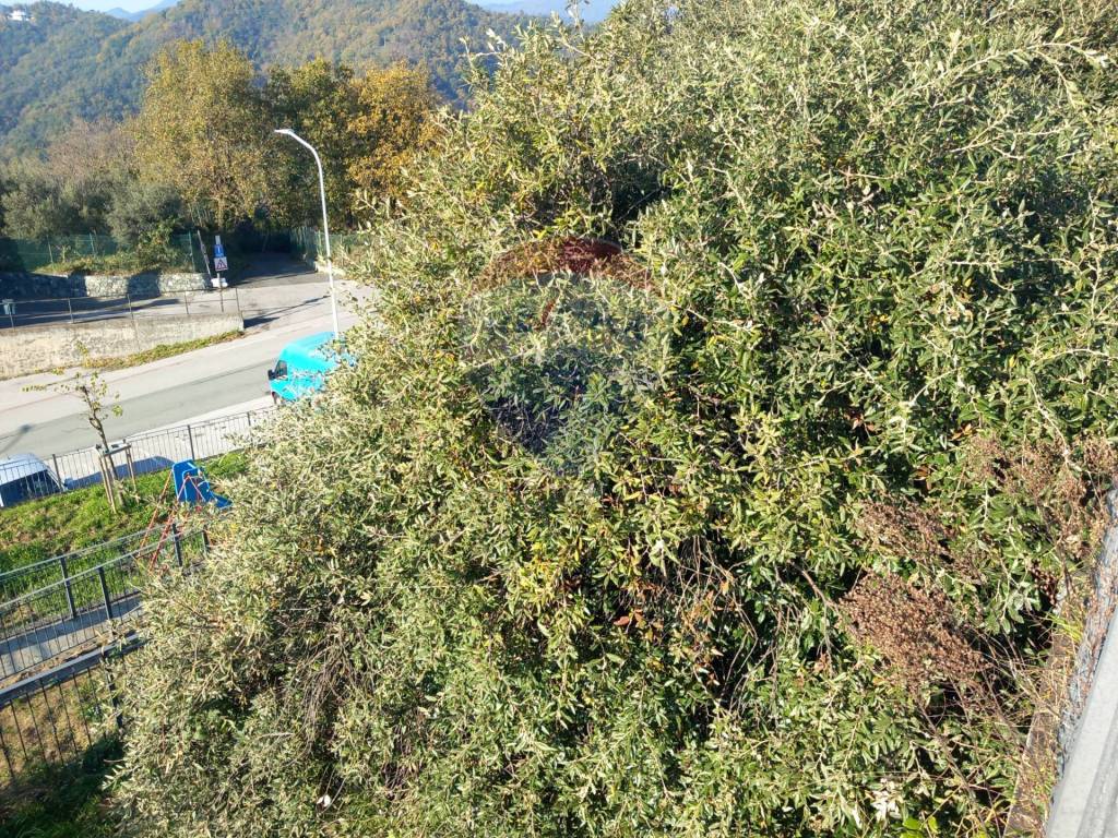 Terreno a Celle ligure in Via Gameragna, 108 - Foto 4