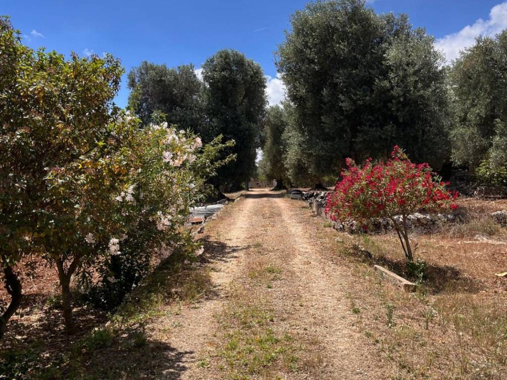 Villa a Ceglie messapica in SP22 - Foto 5