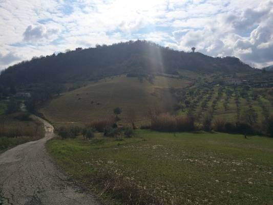 Terreno a Montalto uffugo - Foto 2
