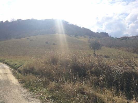 Terreno a Montalto uffugo - Foto 3