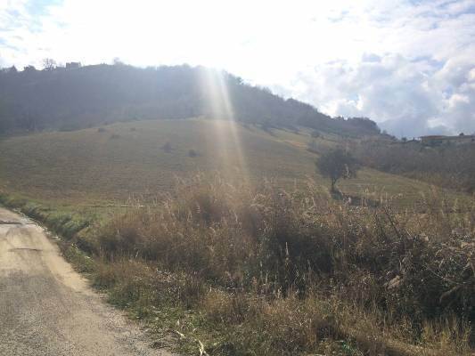 Terreno a Montalto uffugo - Foto 4