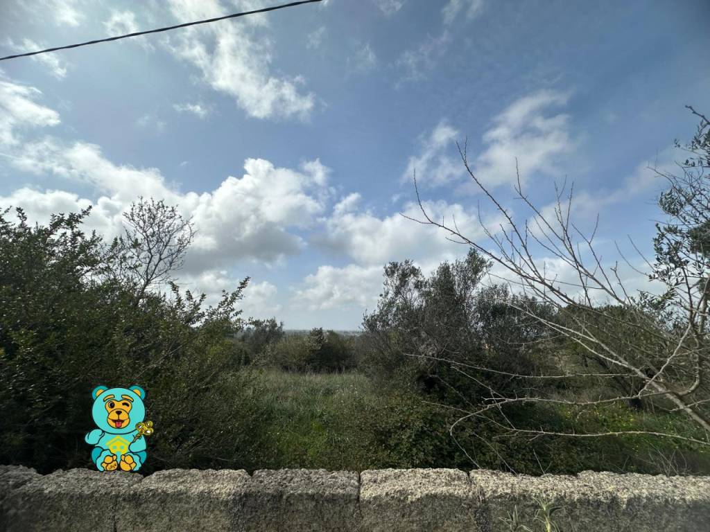 Terreno a Parabita in località Rischiazzi - Foto 3