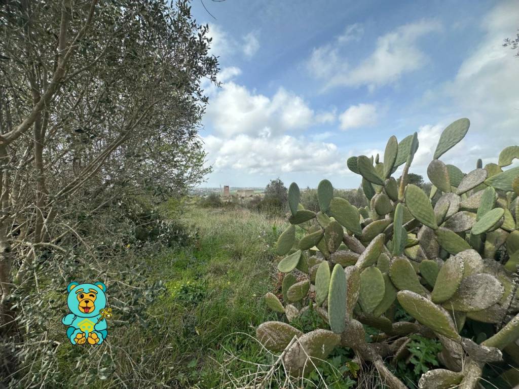 Terreno a Parabita in località Rischiazzi - Foto 4