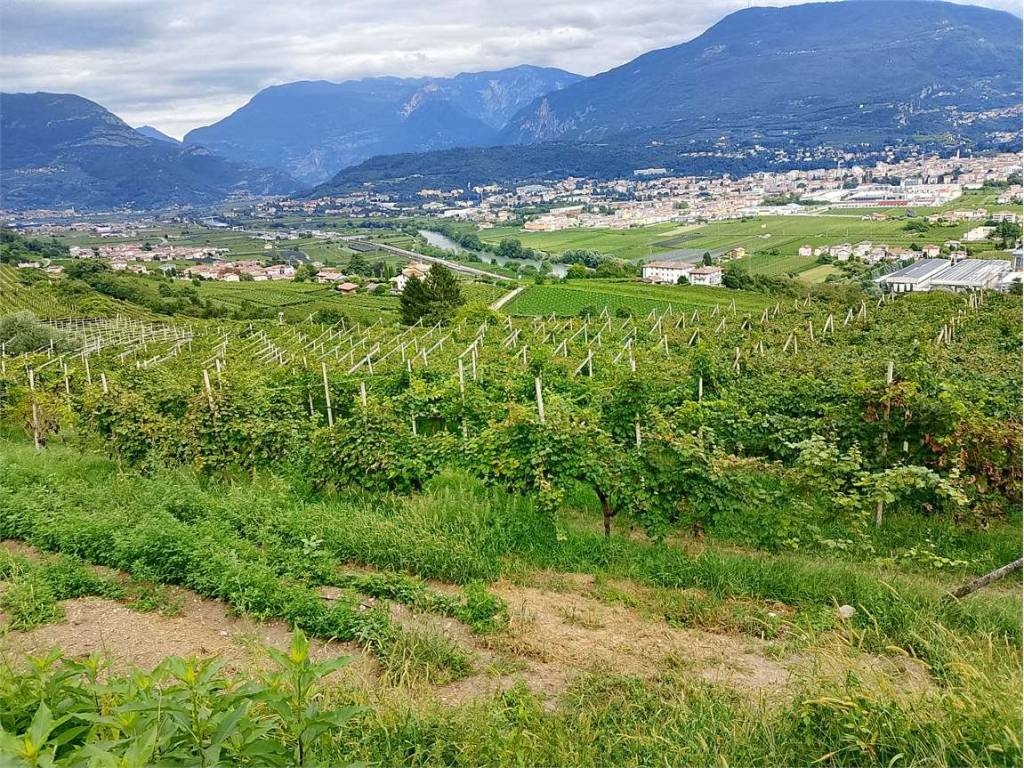 Terreno a Villa lagarina - Foto 2