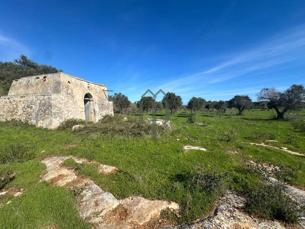 Terreno a Carovigno - Foto 4