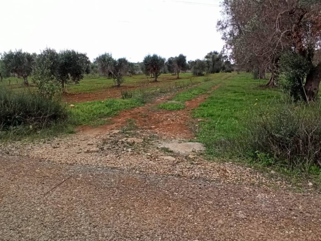 Rustico / casale a Manduria in Contrada Schiavone - Foto 2