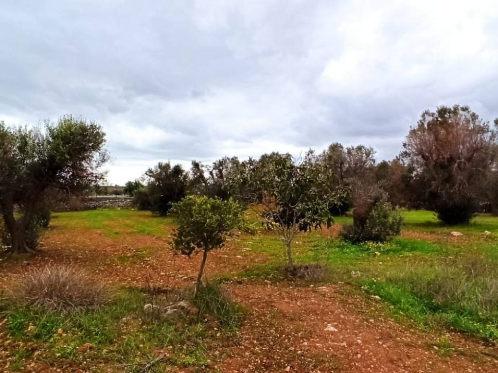 Rustico / casale a Manduria in Contrada Schiavone - Foto 4
